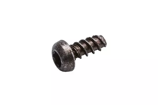 Sun Visor Retainer Bolt - GM (11570110)