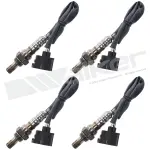 35084001 - : Oxygen Sensor Set for Walker Products Inc. - Image