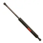 TSG429032 - : TRW-Lift Support for TRW Image