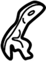 681293Y100 - Body: Panel Support for Infiniti Image