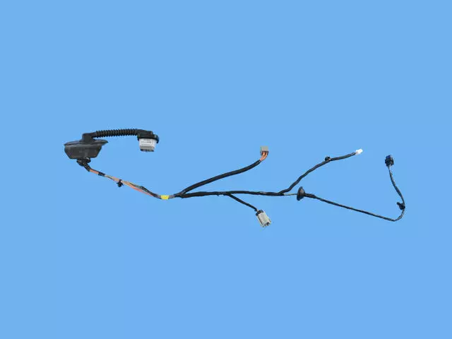 68263807AC - Electrical: Rear Door Wiring, Left Rear Door for Mopar Image