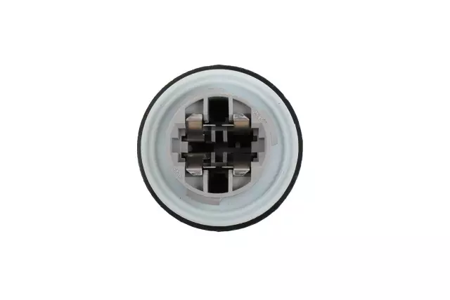 15871374 - Electrical: Run Lamp Bulb Socket for Buick: Enclave | GMC: Acadia Image