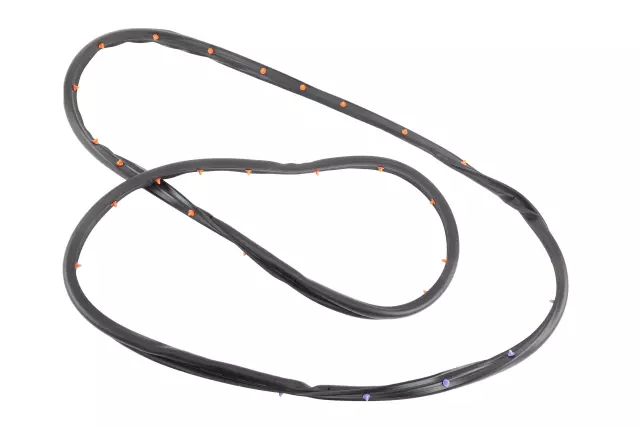 Rear Passenger Side Door Weatherstrip - GM (42440845)