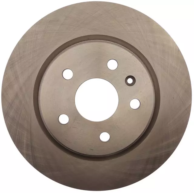 Rear Disc Brake Rotor - GM (19391298)