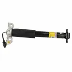 ASH85961 - : Shock Absorber Assembly for Ford Image
