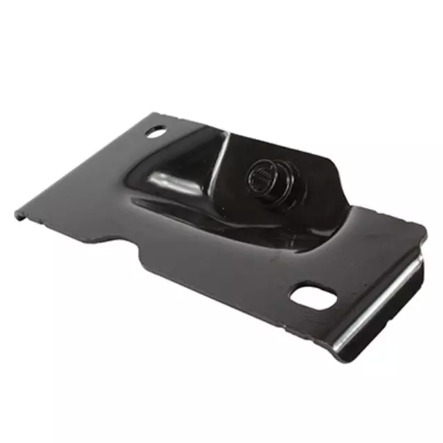 Reinforced Panel Support - Ford (DG9Z-5410984-A)