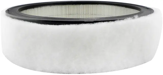 PA2073 - : Air Element with Foam Wrap for Baldwin Image