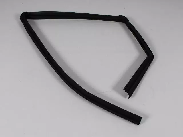 Rear Door Glass Run Weatherstrip, Right - Mopar (55399170AJ)