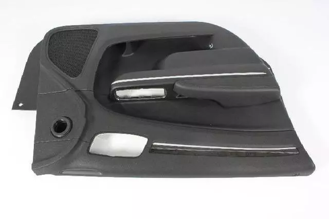 1JR17DX9AG - : Door Trim Panel for Chrysler: 300 Image
