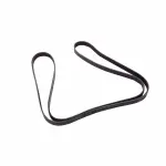 24580771 - : V-Ribbed Serpentine Belt for GM Image