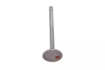 12552289 - : Engine Exhaust Valve for ACDelco Image