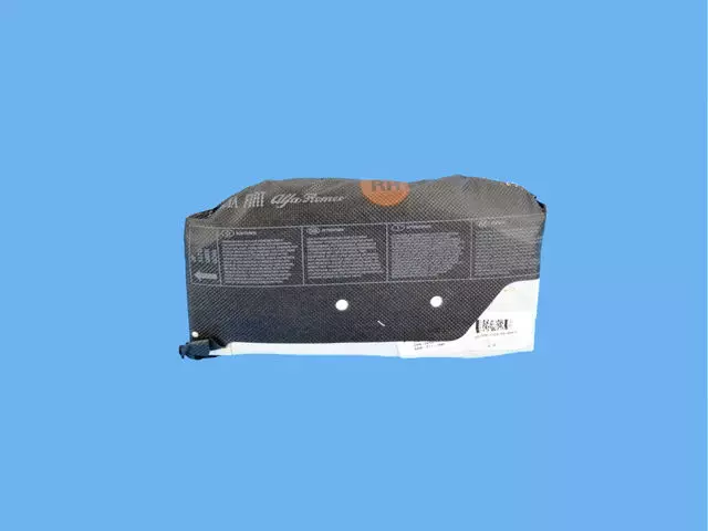 68202229AA - Restraints: Front Seat Air Bag, Right for Mopar Image