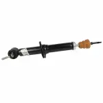 ASH24559 - Suspension: Motorcraftâ„¢ Suspension Shock Absorber for Ford: F-150 Image