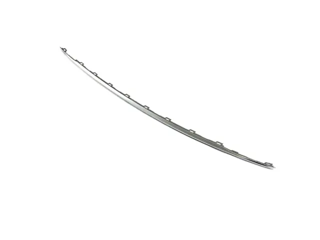 6WN64SZ7AA - Frame, Bumper and Fascia: Fascia Applique for Mopar Image image