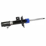AST84891 - : Motorcraft™ Strut for Lincoln: Nautilus Image