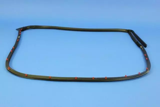 Rear Door Mounted Weatherstrip, Right - Mopar (68039976AJ)