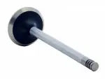 V4341 - : Engine Exhaust Valve for Enginetech Image