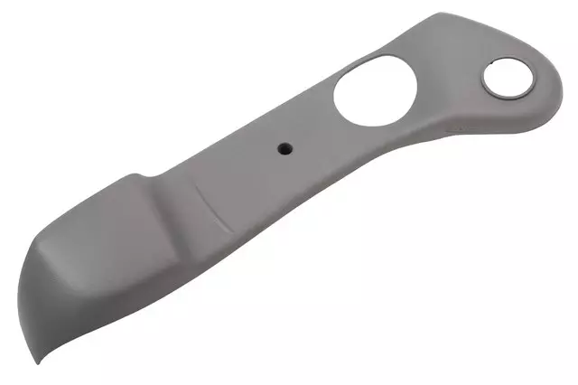 23384293 - Body: Cushion Shield for GM Image