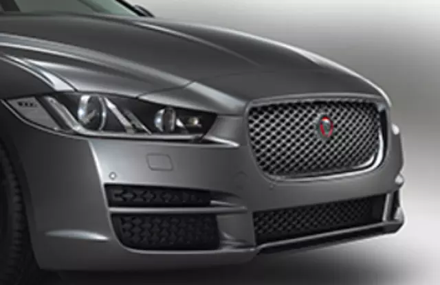 T4N10516 - : Grille - Chrome for Jaguar Image