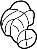 265514M000 - : Socket for Infiniti Image