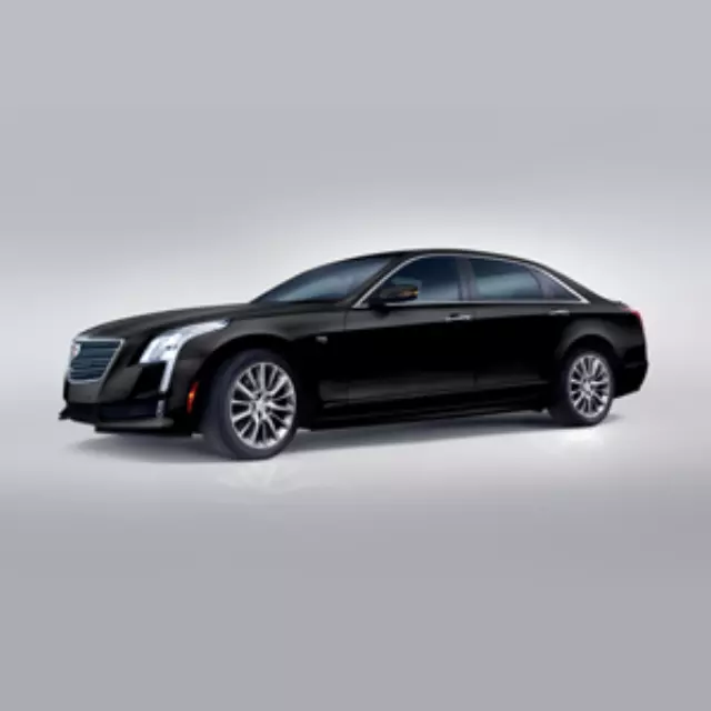 84080315 - : Exterior Trim, Ground Effects for Cadillac: CT6 Image