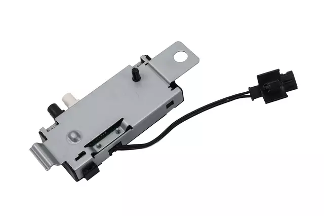 Module - GM (39163947)