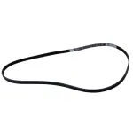 JK4556 - Cooling System: Motorcraft™ Serpentine Belt for Ford: Transit-150, Transit-250, Transit-350, Transit-350 HD Image
