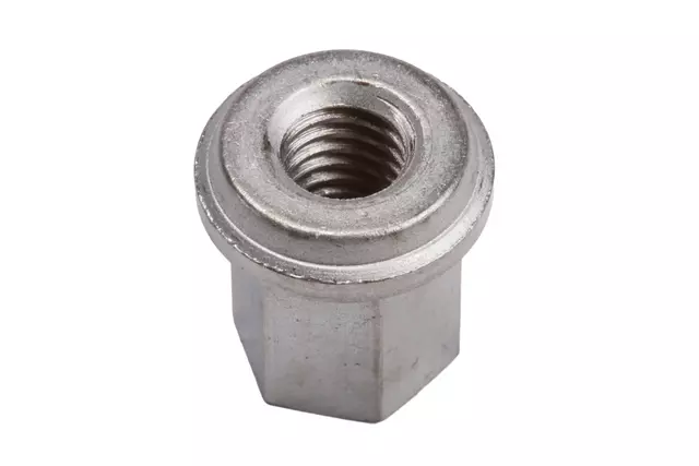 19405197 - : F (S)Nut for GM Image