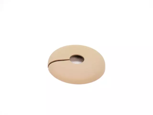 Visor Bracket Cover - Mopar (1MZ82HL1AC)