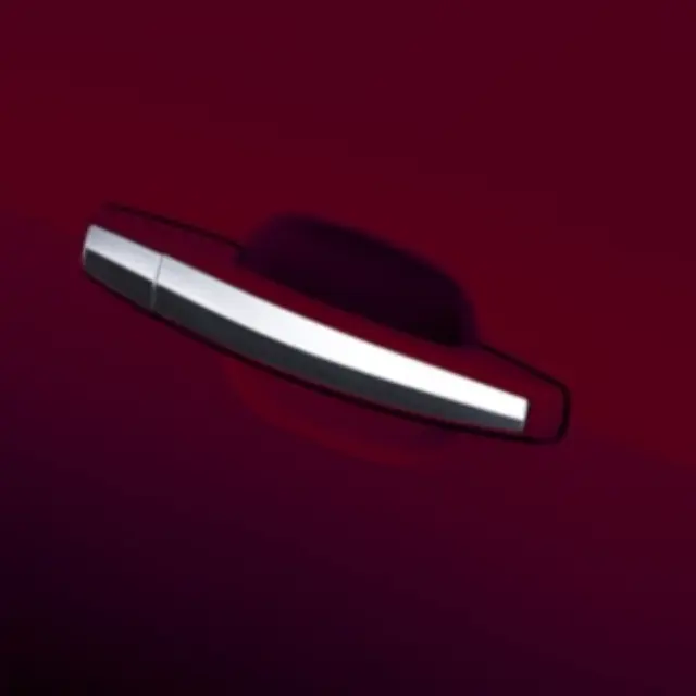 22907443 - Exterior: Door Handles for GM Image