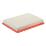 22012194 - : Air Filter for OmniParts Image