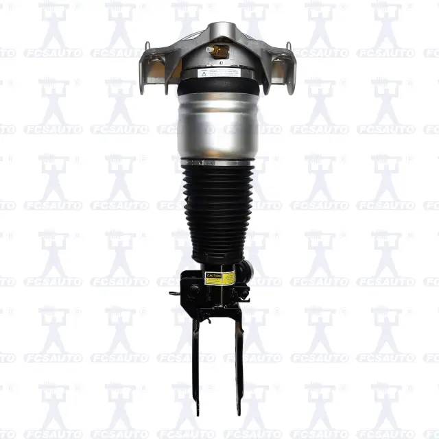 99011 - Suspension &amp; Steering: Focus Auto Parts Air Suspension Strut for Focus Auto Parts Image