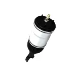 68210182AA - : Pressure Relief Valve, Right for Mopar Image