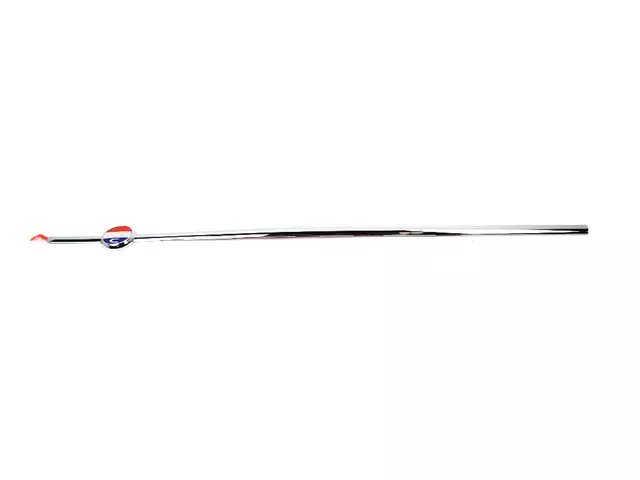 Front Door Molding, Left - Mopar (4806349AB)