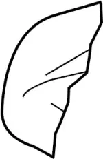 88300JK60C - Body: Cushion Assembly for INFINITI: G35, G37 Image