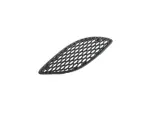 68309356AB - : Hood Bezel, Right for Mopar Image