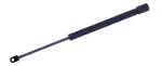 613881 - : Trunk Lid Lift Support for Tuff Support Image