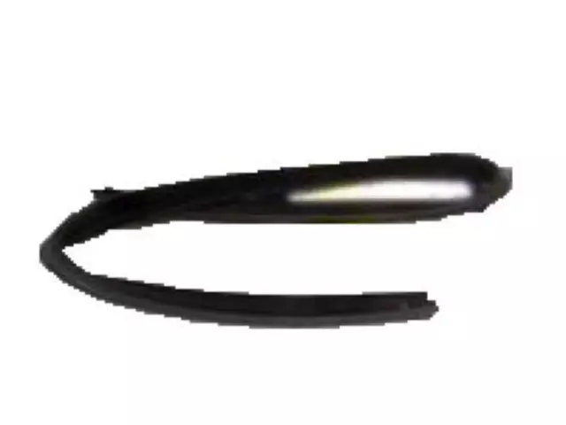 Door Weather-Strip - Ford (XL3Z-1820531-AA)