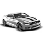 VFR3Z6320000E - : Custom Stripe Kit, Dual Hood Stripe for Ford: Mustang Image