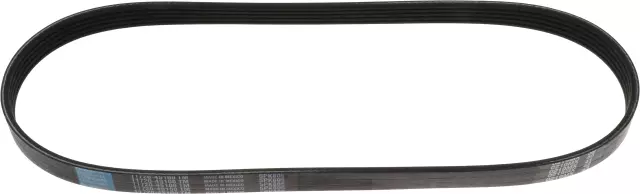 117204S100 - : Alternator Belt for Nissan: Frontier, Xterra Image