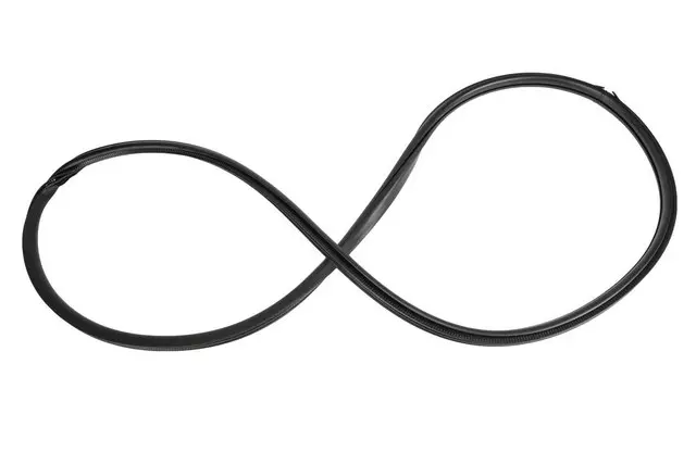 22895388 - Body: Weather-strip On Body for Cadillac: CTS Image