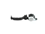 6EJ56DX9AF - Restraints: 2nd Row Seat Belt And Retractor, Right for Jeep: Compass Image
