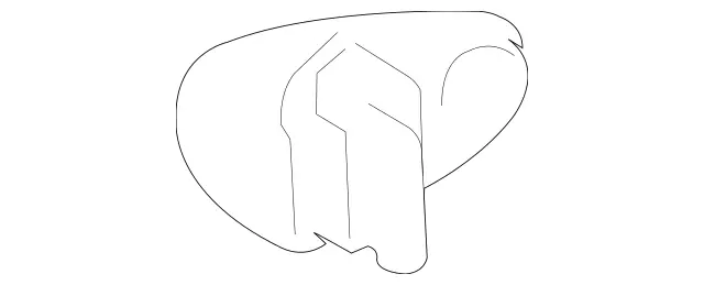 2037601477 - Front Doors: Guide for Mercedes-Benz: 180C, C230, C240, C280, C32 AMG, C320, C350, C55 AMG, CLK320, CLK350, CLK500, CLK55 AMG, CLK550, CLK63 AMG, CLS500, CLS55 AMG, CLS550, CLS63 AMG, E320, E500, E55 AMG Image image