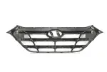HY1200189 - : Grille for COLLISION Image