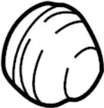 4023465F6C - Brakes: Cap for INFINITI: J30, M45, Q45 Image