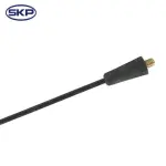 SK956019 - : SKP Radio Antenna for Skyward Automotive Image