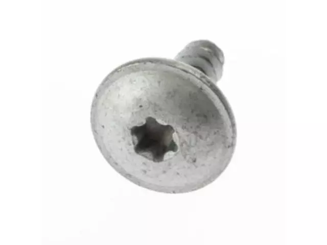 Fog Lamp Assembly Screw - Ford (W709816-S442)