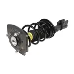 810336 - : Chevrolet, Oldsmobile Suspension Strut and Coil Spring Assembly  - Rear Left for GSP Image