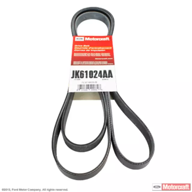 7L3Z8620B - Cooling System: Serpentine Belt for Ford: F-150, F-150 Heritage Image