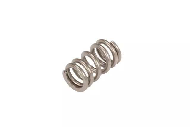 19316293 - : Catalytic Converter Spring for GM Image